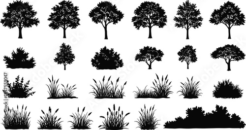 Tree silhouette, bush vector, grass clipart, nature illustration, black foliage, landscape element, forest shape, plant icon, ecology graphic, vegetation set