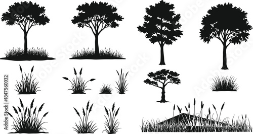 Tree silhouette, grass illustration, nature vector, botanical design, forest elements, wild plants, landscape art, black foliage, outdoor scene, minimal style