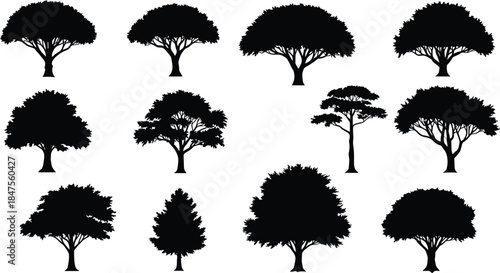 Tree silhouettes collection, black isolated trees, diverse canopy shapes, botanical illustration, landscape design elements, nature icons, vector foliage set