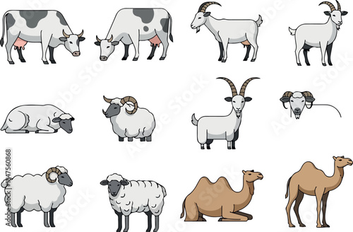 Diverse livestock assortment featuring cows, goats, sheep, and camels in a flat design illustration