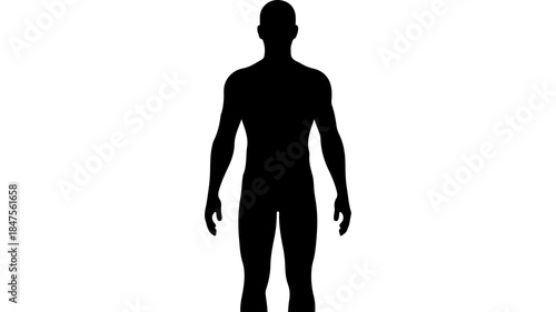 Male figure silhouette with transparent background