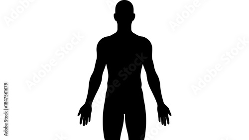Male silhouette with transparent background