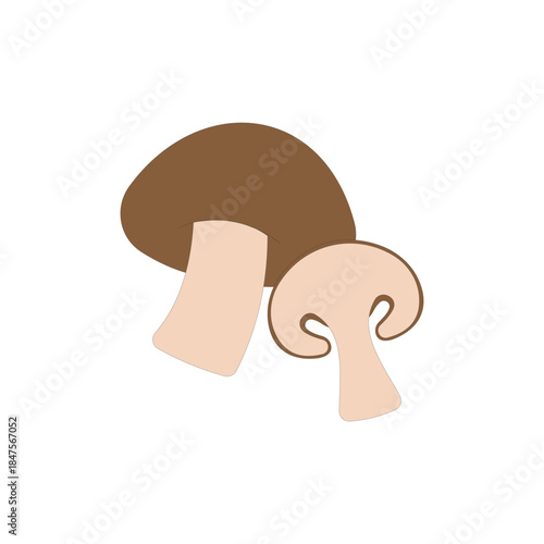 Vegetable Shiitake mushroom vector illustration on white background