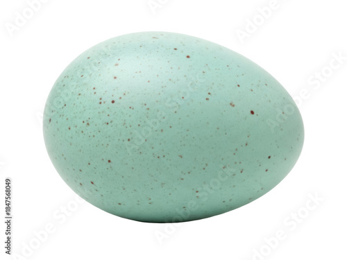 Fotografie Isolated Robin's egg with speckles, delicate natural Easter decoration for sprin