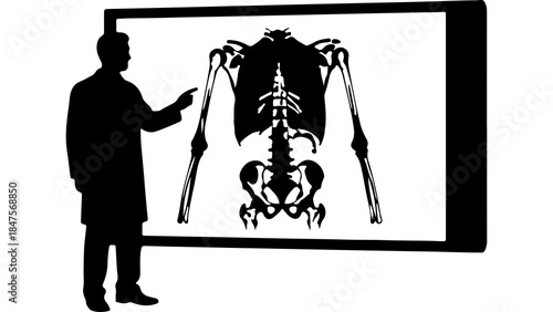 Doctor presenting skeletal system with transparent background