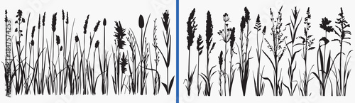wild grass illustration vector, botanical grass drawing, meadow plant sketch art, natural grass illustration, hand drawn wild plants, botanical foliage artwork, grass line art vector, nature plant ill