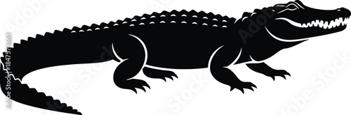 Long black and white crocodile vector illustration isolated on a white background for reptile wildlife conservation, swamp animal graphics, and predator themed art.