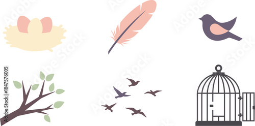 Illustrations of bird elements