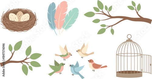 Illustrations of birds and nature elements