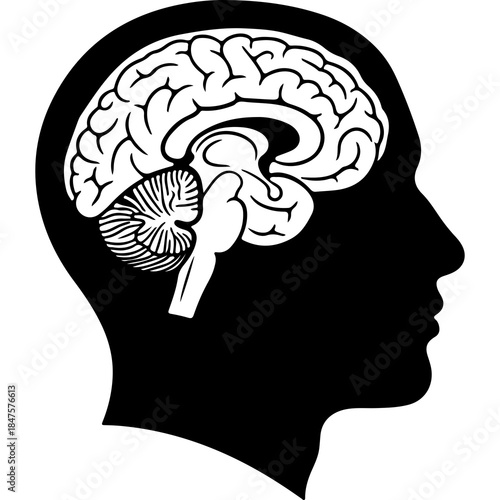 Human head silhouette with brain with transparent background