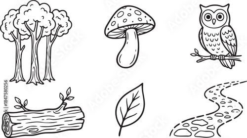 Black and white line art forest elements including trees mushroom owl log leaf and path vector