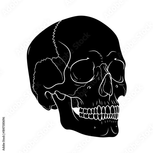 Human skull icon in detailed black silhouette for anatomy studies, gothic art, danger symbols, and edgy designs