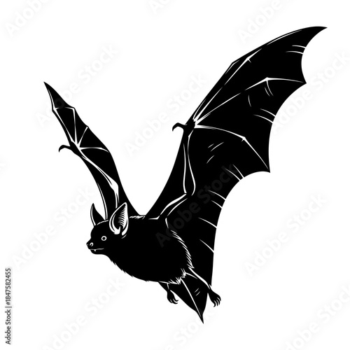 Dark bat wings silhouette illustration, nocturnal creature icon ideal for Halloween themes, gothic art, vampire branding, and logos