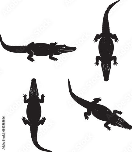 Four silhouette of alligators in various poses including side view and angled perspectives showcasing their reptilian forms and tails also transparent background
