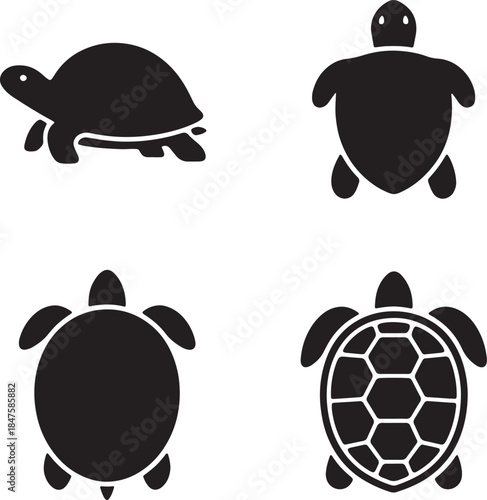 Four black silhouette of turtles and tortoises displayed from different angles including a side view a top-down view and a detailed shell pattern also transparent background