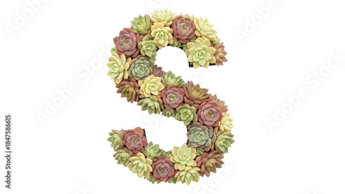 Isolated letter S made from succulent plants, decorative floral display for botanical signage
