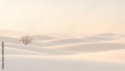 Minimalist Winter Landscape with Lone Tree in Snowy Desert Dunes
