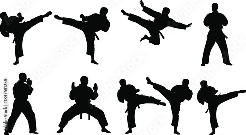 Martial arts silhouettes set featuring karate, taekwondo kicks, fighting poses, black figures isolated on white background for combat sport training design illustration collection action