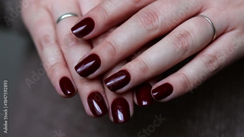 Female hands with dark burgundy red nails 