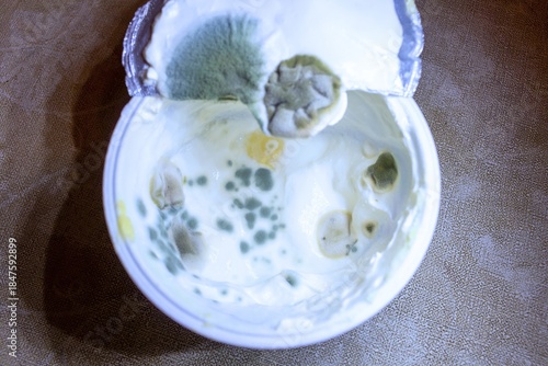Fotografía Moldy spoiled cottage cheese in plastic container close up view