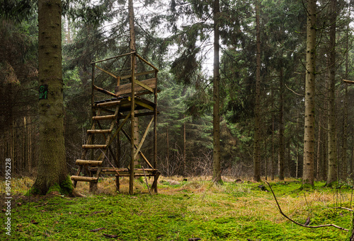 Hochsitz im Nadelwald 