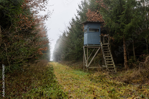 Hochsitz im Wald neben einem Waldweg