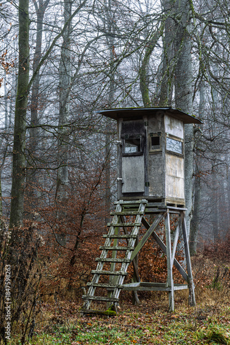 Hochsitz im Wald 