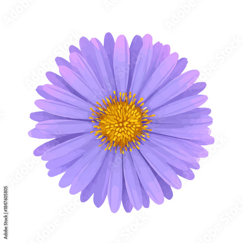 Minimal 2D vector illustration of Aster Flower in flat icon style on a plain white background.