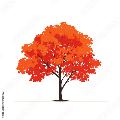 Minimal 2D vector illustration of Maple Tree in flat icon style on a plain white background.