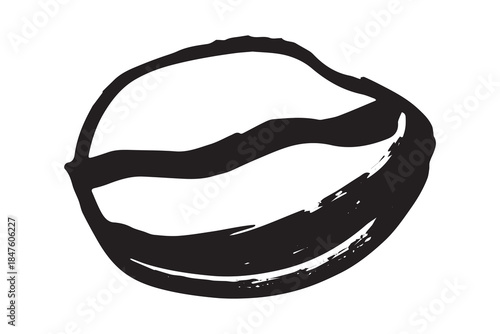 Hand drawn fresh roasted coffee bean Arabica robusta seed doodle Single element for print, web, design, decor