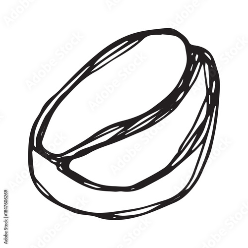 Hand drawn fresh roasted coffee bean Arabica robusta seed doodle Single element for print, web, design, decor