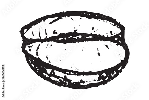 Hand drawn fresh roasted coffee bean Arabica robusta seed doodle Single element for print, web, design, decor