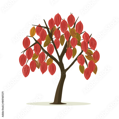 2D flat vector illustration of Cacao Tree, clean and minimal icon style, isolated on white background.