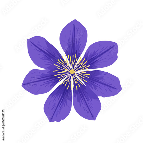 Simple flat 2D vector graphic of Clematis Flower, modern icon look, displayed on a pure white background.