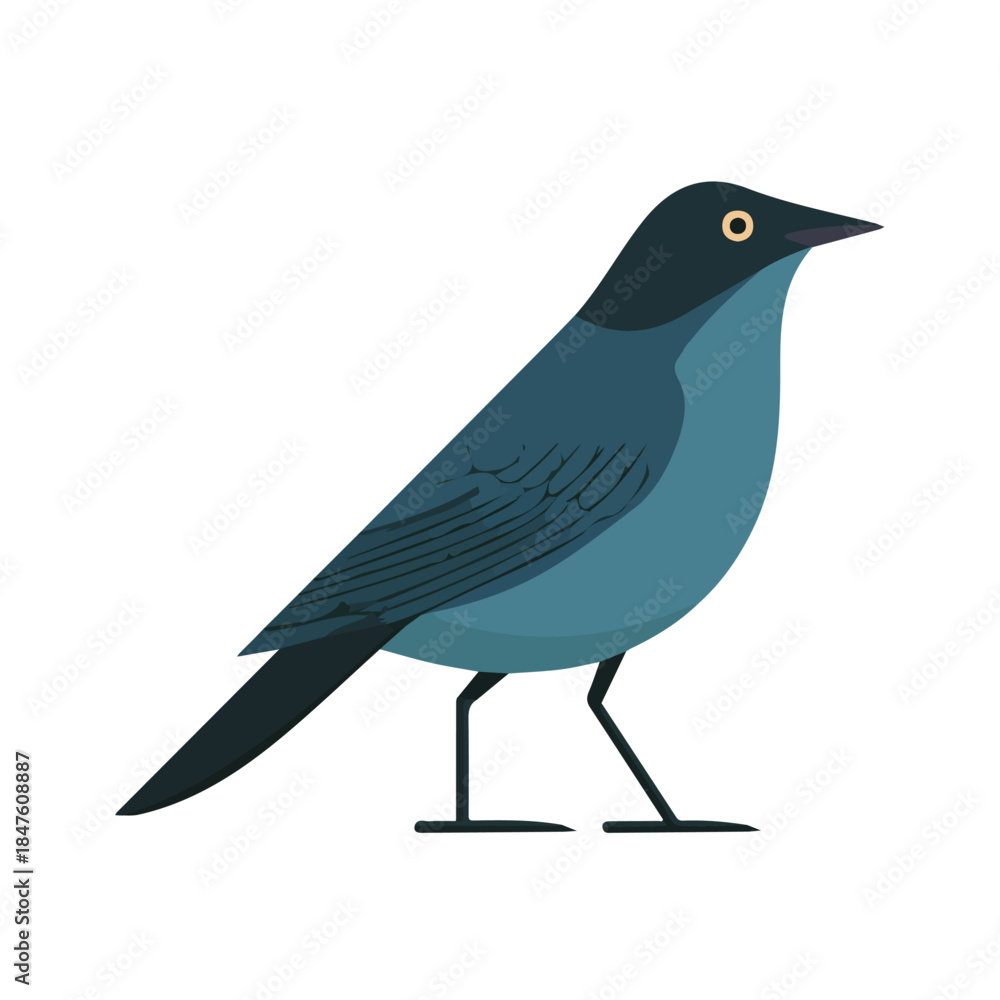 Obraz premium Modern flat 2D vector illustration of Bowerbird, clean and minimal design, isolated on white background.