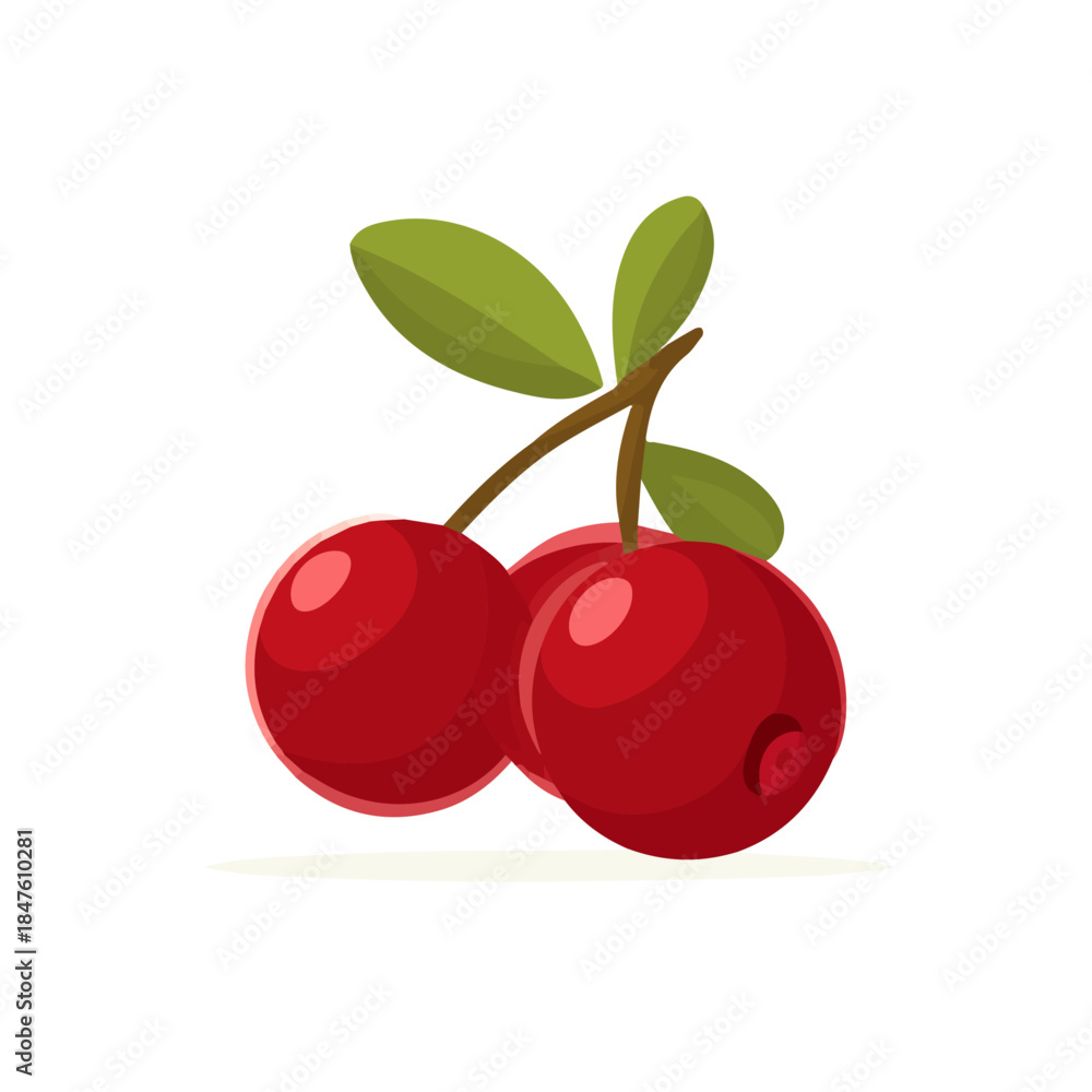 Obraz premium Cranberry, 2D flat vector illustration, simple and modern style, isolated on a plain white background.