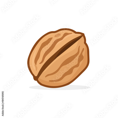Simple flat 2D vector graphic of Walnut, modern icon look, displayed on a pure white background.