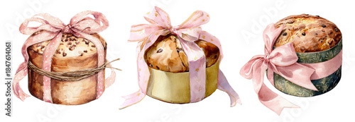 Traditional Italian panettone with pink ribbon and festive wrapper. Watercolor illustration of homemade Easter cake with candied fruits. Vector illustration.