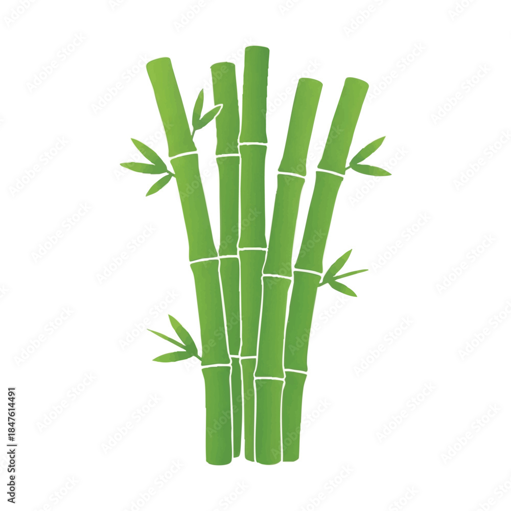 Obraz premium Illustration of a bunch of green bamboo stalks with leaves on a white background in a flat graphic style.
