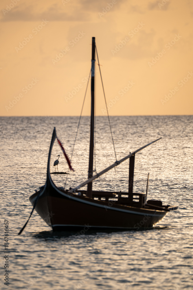 Fototapeta premium Eastern reef egret on a tropical beach in the Maldives, captured flying over the ocean in its natural coastal habitat during sunset behind an out-of-focus typical Maldivian boat.