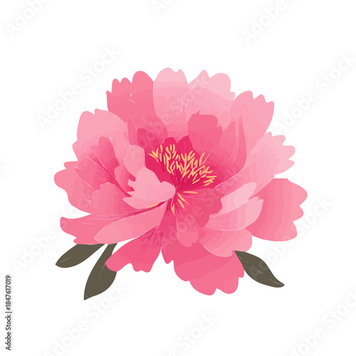 Simple flat 2D vector graphic of Peony Flower, modern icon look, displayed on a pure white background.