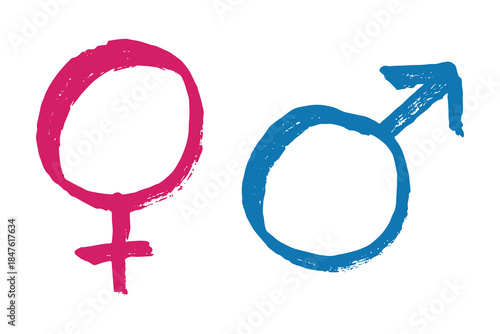 Hand drawn female and male gender identity sign Symbol used to represent sex and gender Single element for print, web, design, decor