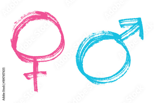 Hand drawn female and male gender identity sign Symbol used to represent sex and gender Single element for print, web, design, decor