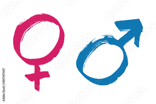 Hand drawn female and male gender identity sign Symbol used to represent sex and gender Single element for print, web, design, decor