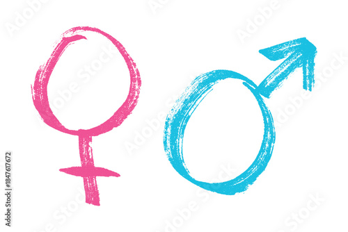 Hand drawn female and male gender identity sign Symbol used to represent sex and gender Single element for print, web, design, decor