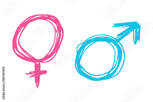 Hand drawn female and male gender identity sign Symbol used to represent sex and gender Single element for print, web, design, decor