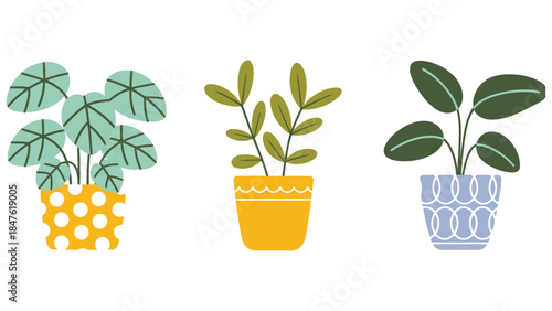 Colorful potted plants on white background for home decor inspiration