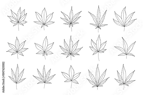 Set of hand drawn cannabis leaf Medicine marijuana Hemp leaves clipart in doodle style Single element for print, web, design, decor