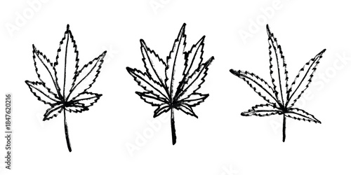 Set of hand drawn cannabis leaf Medicine marijuana Hemp leaves clipart in doodle style Single element for print, web, design, decor
