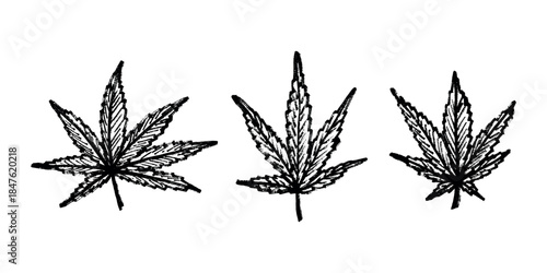 Set of hand drawn cannabis leaf Medicine marijuana Hemp leaves clipart in doodle style Single element for print, web, design, decor